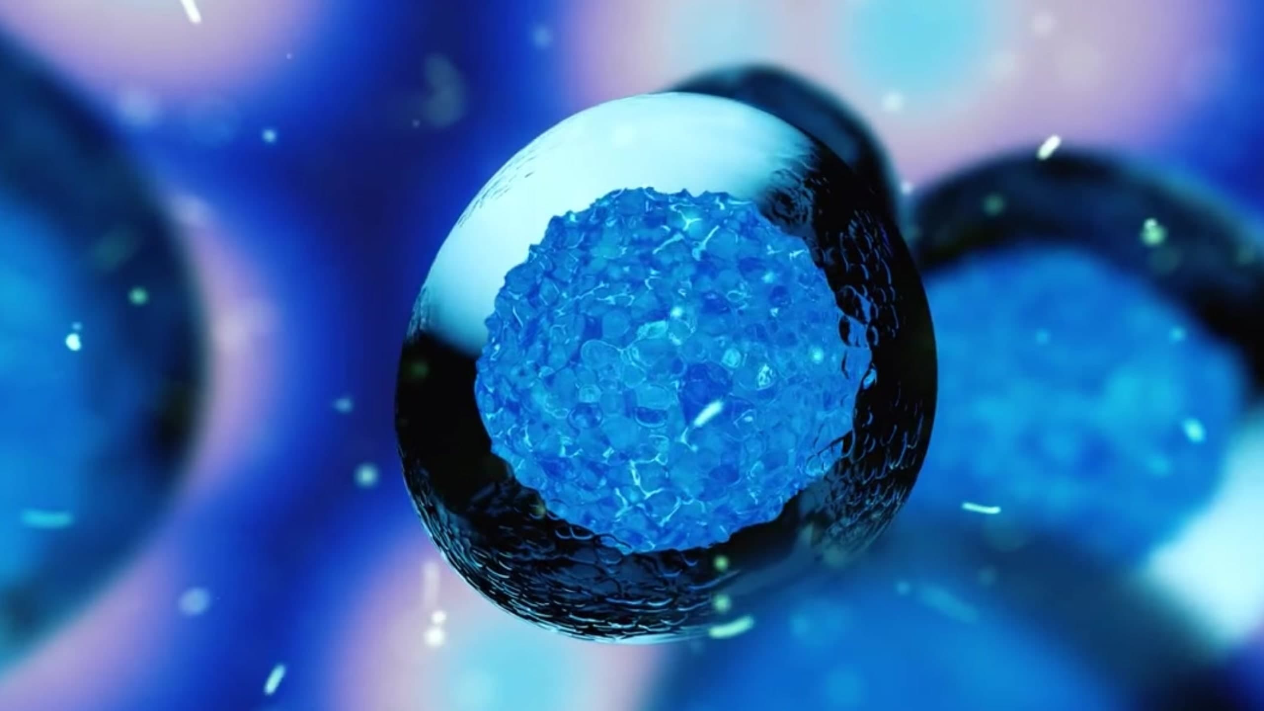 Mesenchymal stem cell therapy: everything you should know